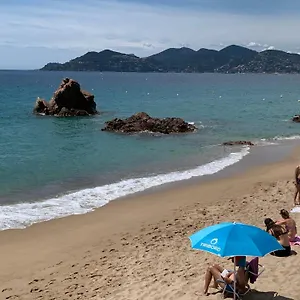 https://le-palm-azur.fr-provencehotel.com
